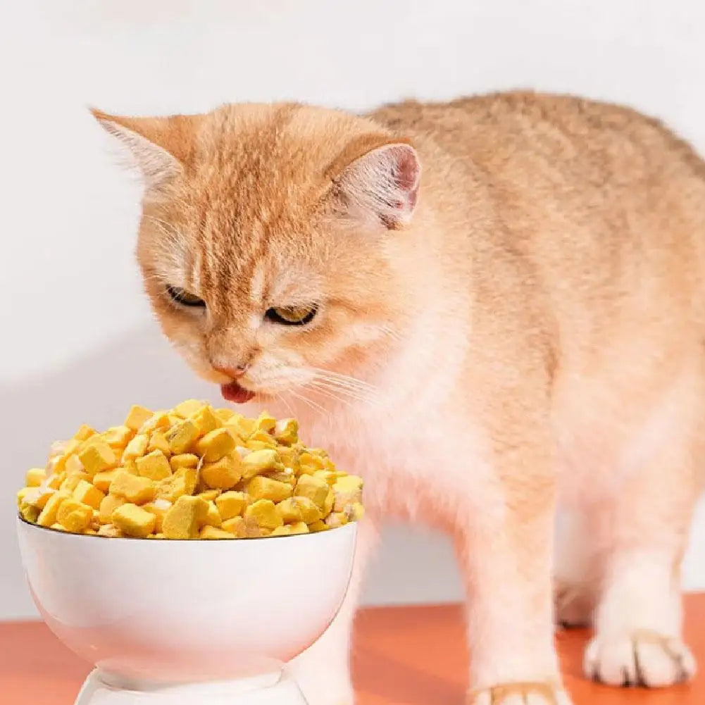 Non-Prescription Cat Food